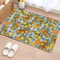 thumbnail image 1 of Orange Lemons Entryway Rug 2'x3'&nbsp; Non Slip Front Door Mats, Summer Botanical Checkered Farmhouse Entrance Rugs Indoor Outdoor Carpet, Washable Floor Mats Small Area Rug for Bedroom Kitchen, 1 of 8