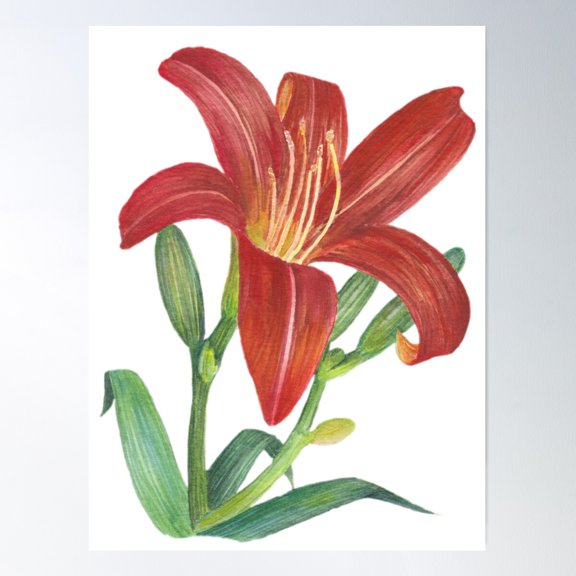 Orange Lily Poster Wall Art, Modern Wall Decor For Living Room Bedroom, 16x24 UNFRAMED