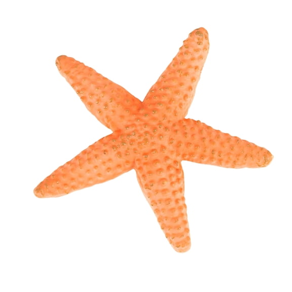 Orange Marine Animal Sea Star Simulation Figure Solid Model Educational Realistic Toy For Kids