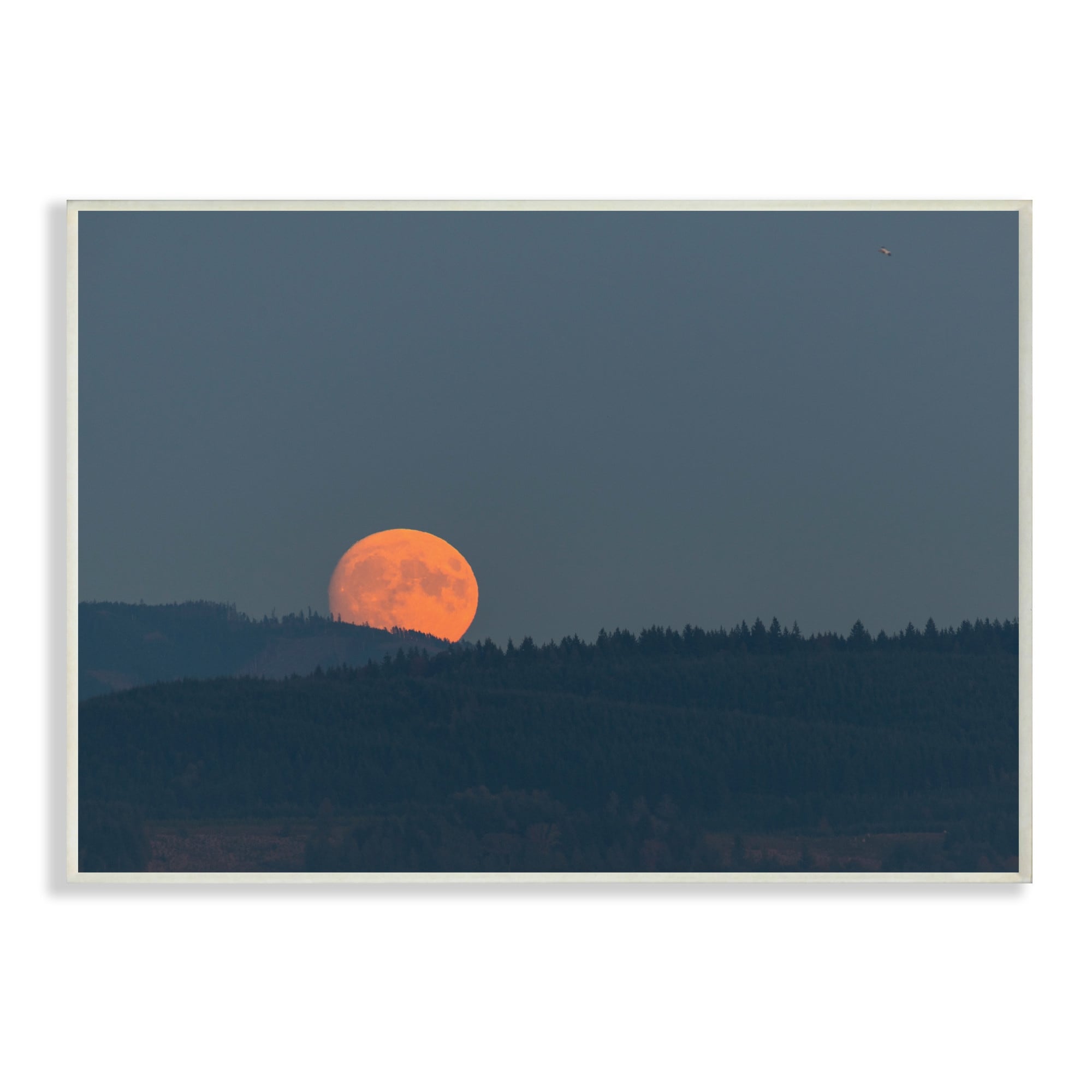 Stupell Industries Orange Moon over Dark Mountain Tree Forest,13 x 19,Designed by Nancy Crowell