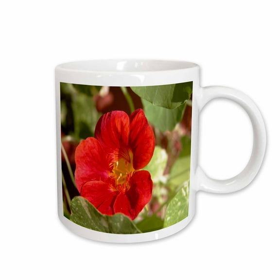 3drose, Orange Nasturtium Flower, 11oz Mug
