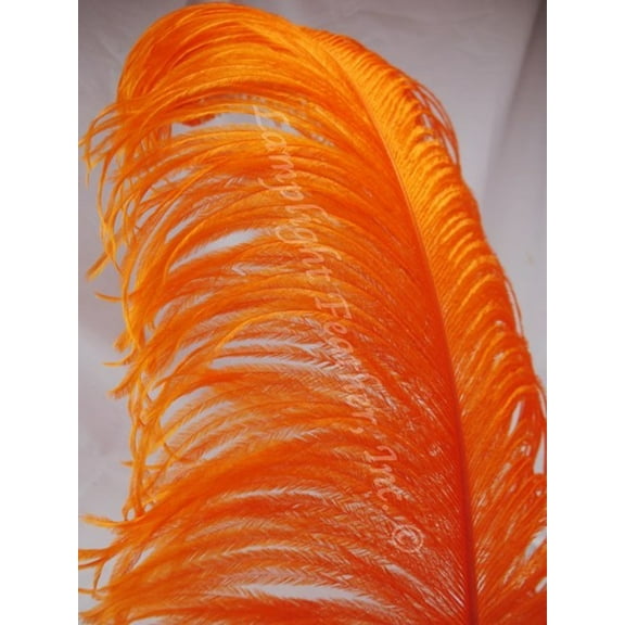 Orange Ostrich Feather Plume Premium 18-24+ inch per Each
