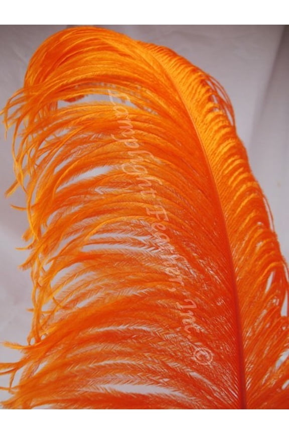 Orange Ostrich Feather Plume Premium 18-24+ inch per Each