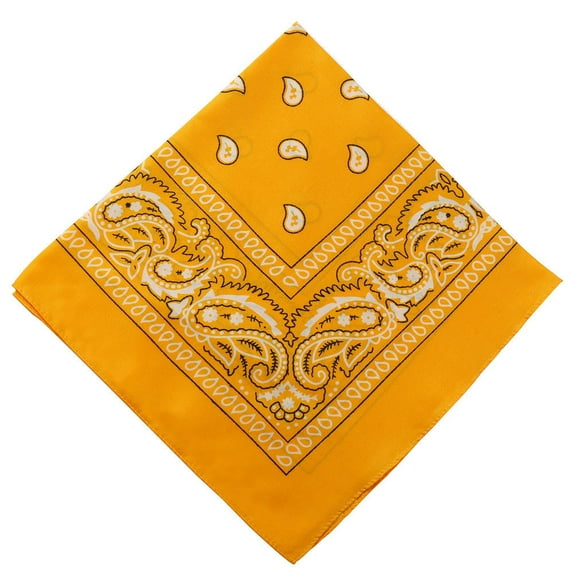 Orange Paisley Bandana Head Scarf Double Sided For Headband Neck Tie 55 Cm Nylon Spandex Orange