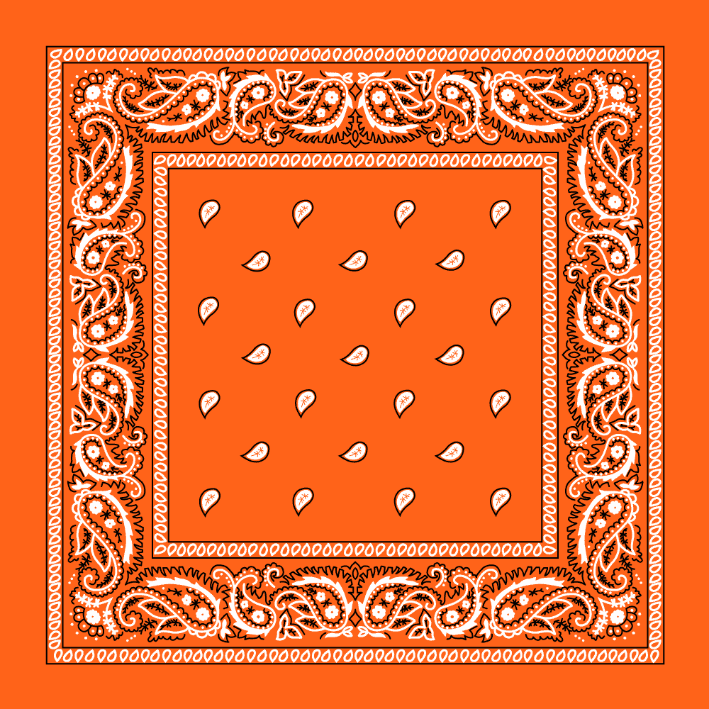 『TEN PAISLEY S/S ORANGE S』 Orange Paisley Bandana - Single Piece 22x22 - Walmart