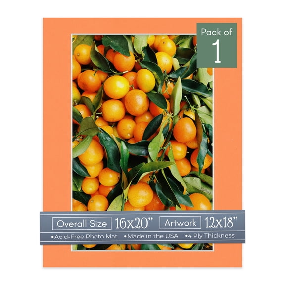 Orange Picture Frame Mat for 16x20 Frames - Fits 12x18 Photos - 1 Mat