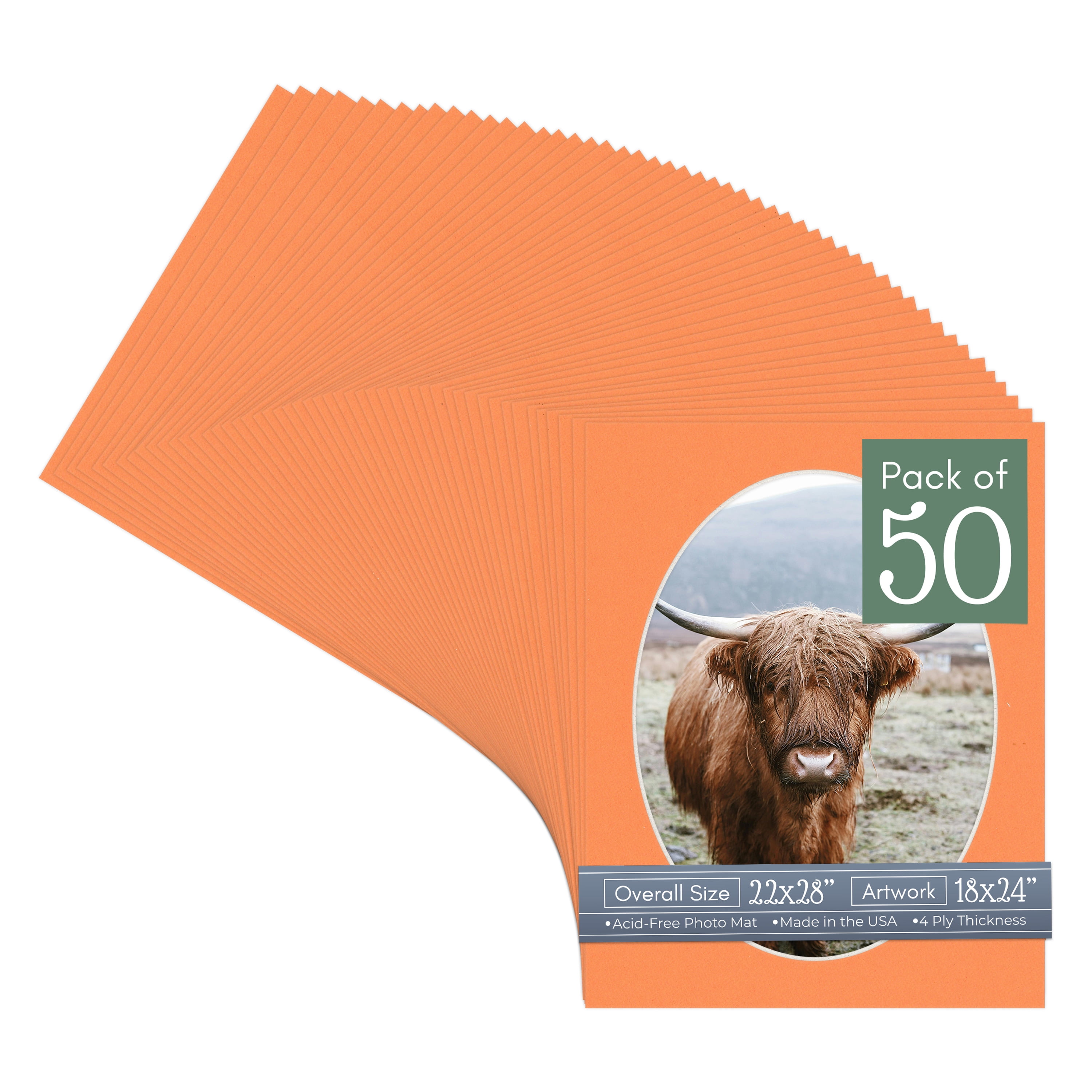 Orange Picture Frame Mat for 22x28 Frames - Oval Opening for 18x24 Photos - 50 Mats