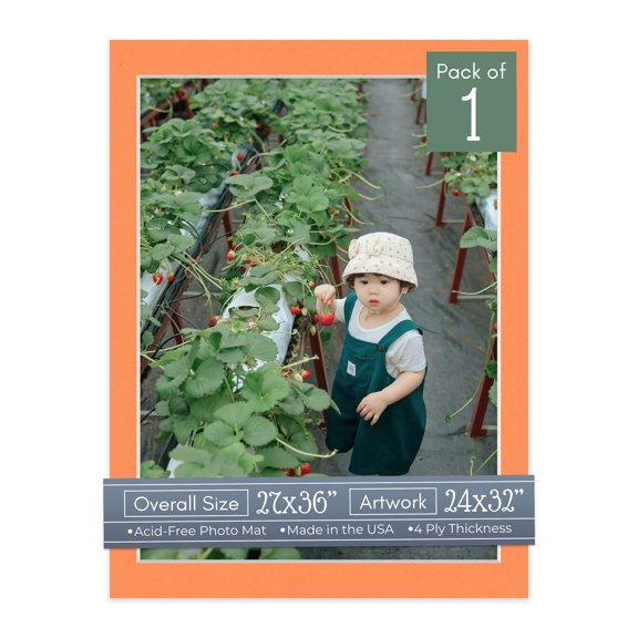 Orange Picture Frame Mat for 27x36 Frames - Fits 24x32 Photos - 1 Mat