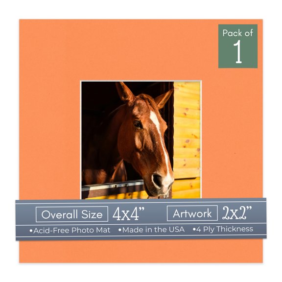 Orange Picture Frame Mat for 4x4 Inch Frames - Fits 2x2 Photos - 1 Mat