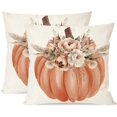 thumbnail image 1 of Orange Pumpkin Fall Throw Pillow Covers 18x18 Inch Set of 2 Boho Floral Pampas Outdoor Farmhouse Cottage Autumn Thanksgiving Decorations Decorative Throw Pillows Cases for Living Room Decor, 1 of 6