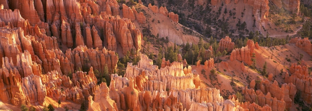 Orange Rock Formations And Trees At Bryce Canyon Canvas Art - Toby Adamson Design Pics (36 x 13)