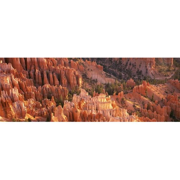 Orange Rock Formations & Trees At Bryce Canyon Poster Print, 36 x 13 - Large