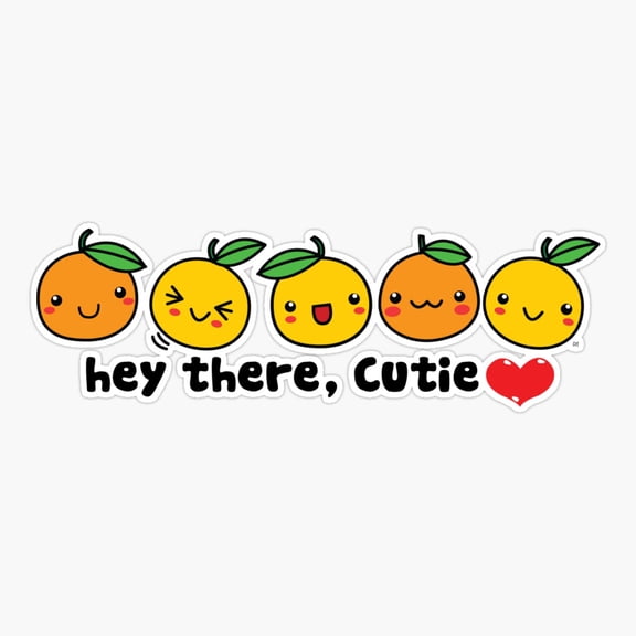 Orange Sliced Fruit Decor Art Cute Style Vinyl Sticker