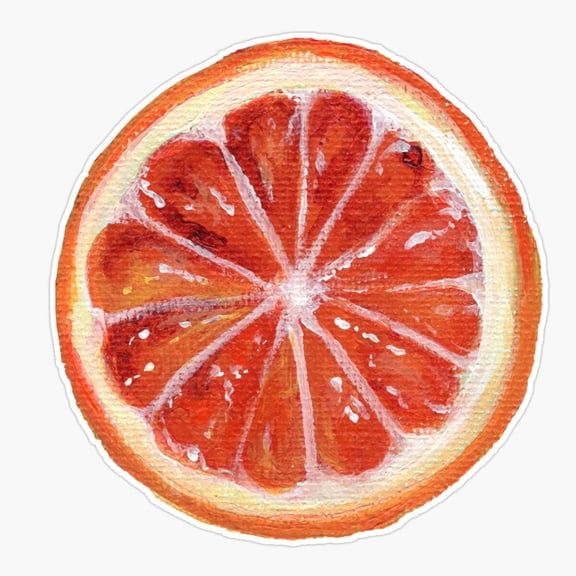Orange Sliced Fruit Decor Art Fresh Style Vinyl Sticker