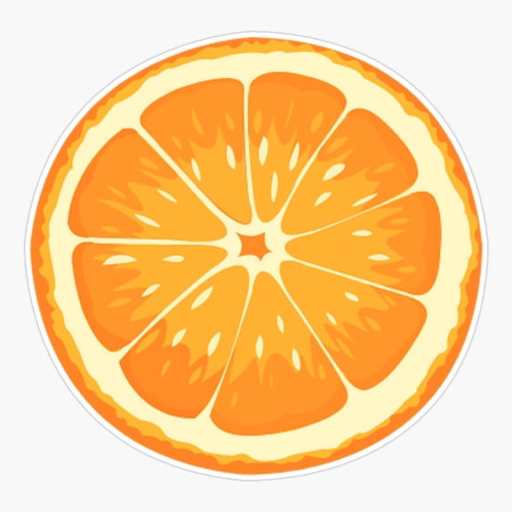 Orange Sliced Fruit Decor Art Garden Style Vinyl Sticker