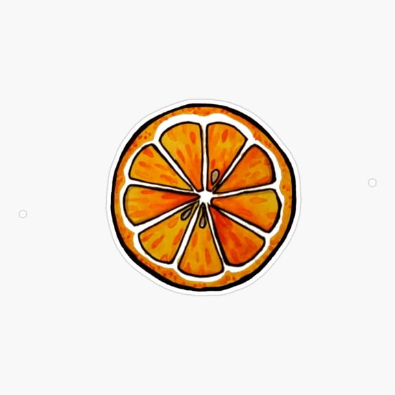 Orange Sliced Fruit Decor Art Market Style Vinyl Sticker