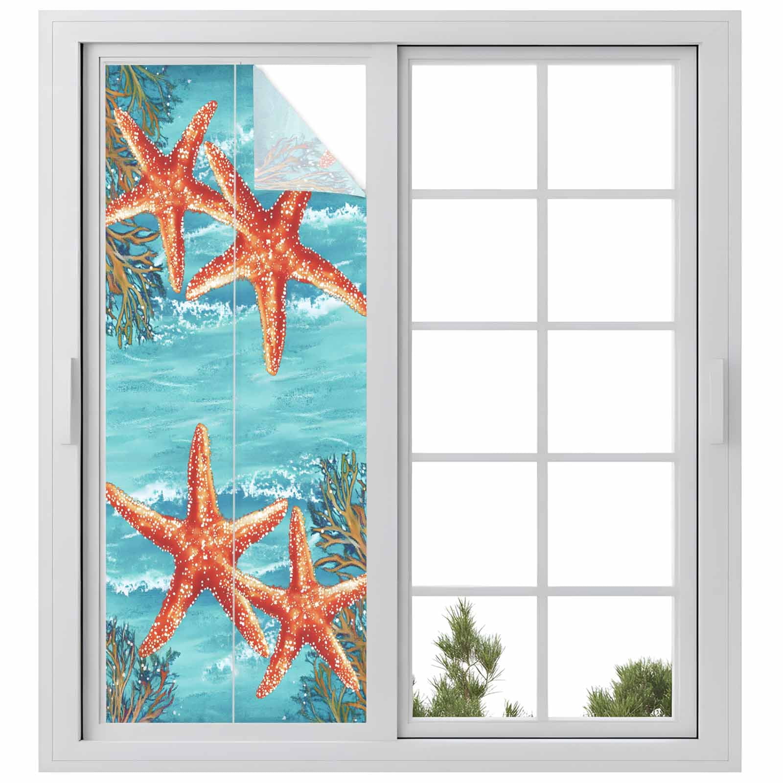Orange Starfish Window Privacy Film, Seaweed Retro Frosted Glass Window Clings Static Cling UV Heat Blocking Reusable Door Sticker for Bathroom 23.6 x 59 Inch