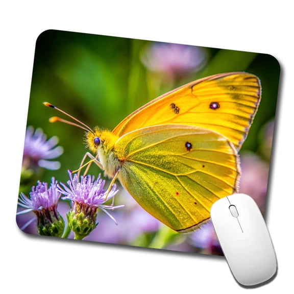 Orange Sulphur Butterfly Mouse Pad Low Profile Gaming Mat