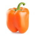 thumbnail image 1 of Orange Sun Sweet Bell Pepper Seeds, 100 Heirloom Seeds Per Packet, Non GMO Seeds, 1 of 6