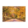 thumbnail image 1 of Orange Tree Autumn Park Nature Wilderness Photography Canvas Wall Art for Home Decor Ready-to-Hang, 1 of 18