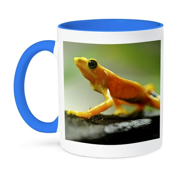3dRose, Orange tree frog walking, 15oz Two-Tone Blue Mug