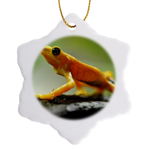 3drose, Orange Tree Frog Walking, 3 inch Snowflake Porcelain Ornament