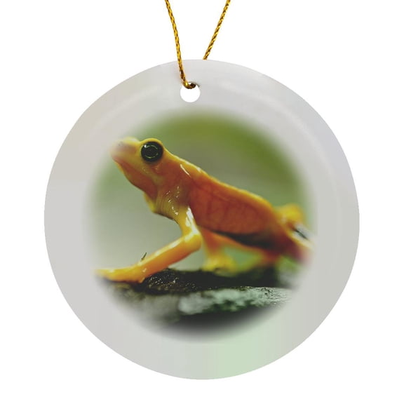 3drose, Orange Tree Frog Walking, Circle Porcelain Ornament