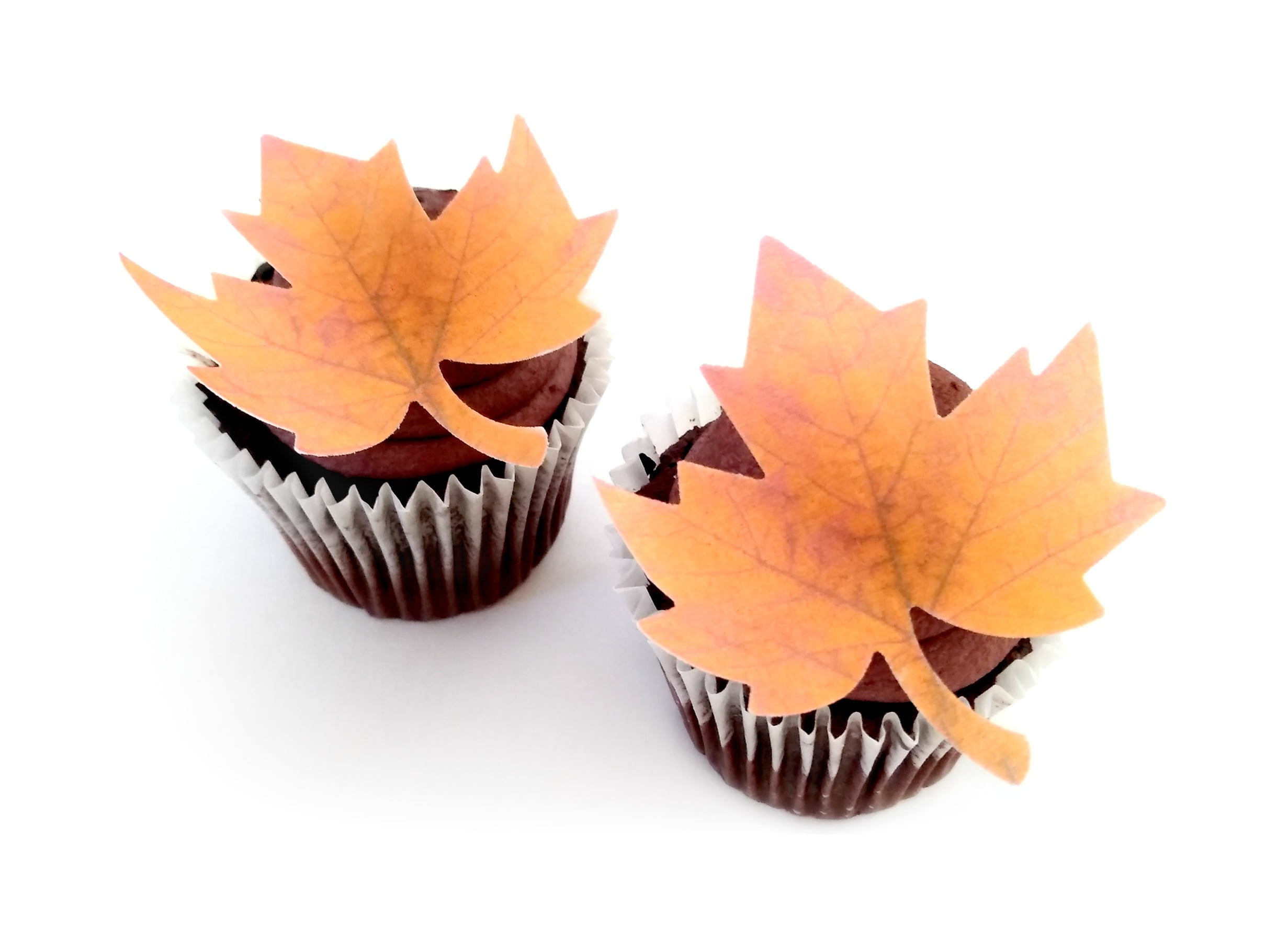 Camping Edible PREMIUM THICKNESS SWEETENED VANILLA