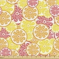 thumbnail image 1 of Ambesonne Orange and Yellow Fabric by the Yard Upholstery, Citrus Fruits Art, 3 Yards, Pale Orange Coral, 1 of 4