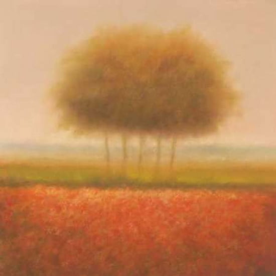 Orange group of trees Canvas Art - Hans Dolieslager (24 x 24)