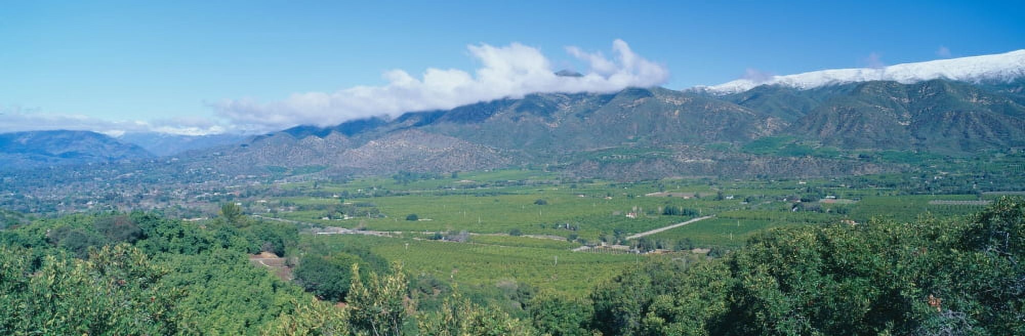 Orange groves and snowy mountains in the Ojai Valley California Canvas Art - Panoramic Images (27 x 9)