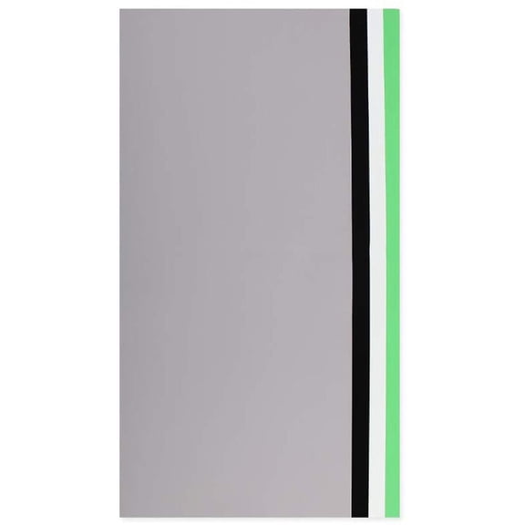 OrangeMonkie Extra Backdrop Set for Foldio2 Portable Mini Studio 15" Shooting Tent, Black/White/Gray and Green Backdrop