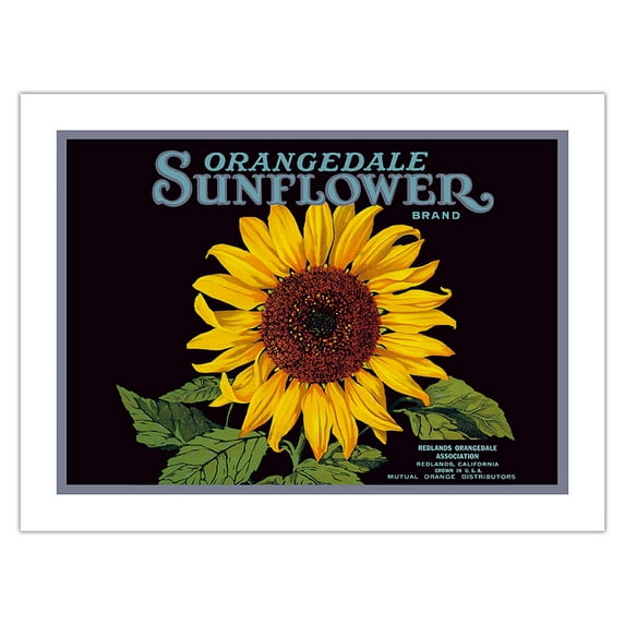 Orangedale Sunflower Brand - California Oranges - Vintage Fruit Crate Label c.1930s - Bamboo Fine Art 290gsm Paper Print (Unframed) 24x32in