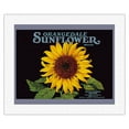 thumbnail image 1 of Orangedale Sunflower Brand - California Oranges - Vintage Fruit Crate Label c.1930s - Fine Art Rolled Canvas Print 16in x 20in, 1 of 4
