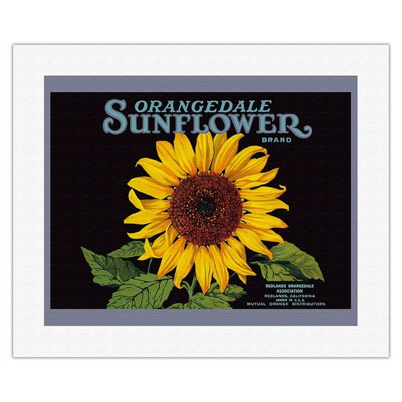Orangedale Sunflower Brand - California Oranges - Vintage Fruit Crate Label c.1930s - Fine Art Rolled Canvas Print 16in x 20in
