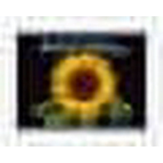 Orangedale Sunflower Brand - California Oranges - Vintage Fruit Crate Label c.1930s - Fine Art Rolled Canvas Print 20in x 26in