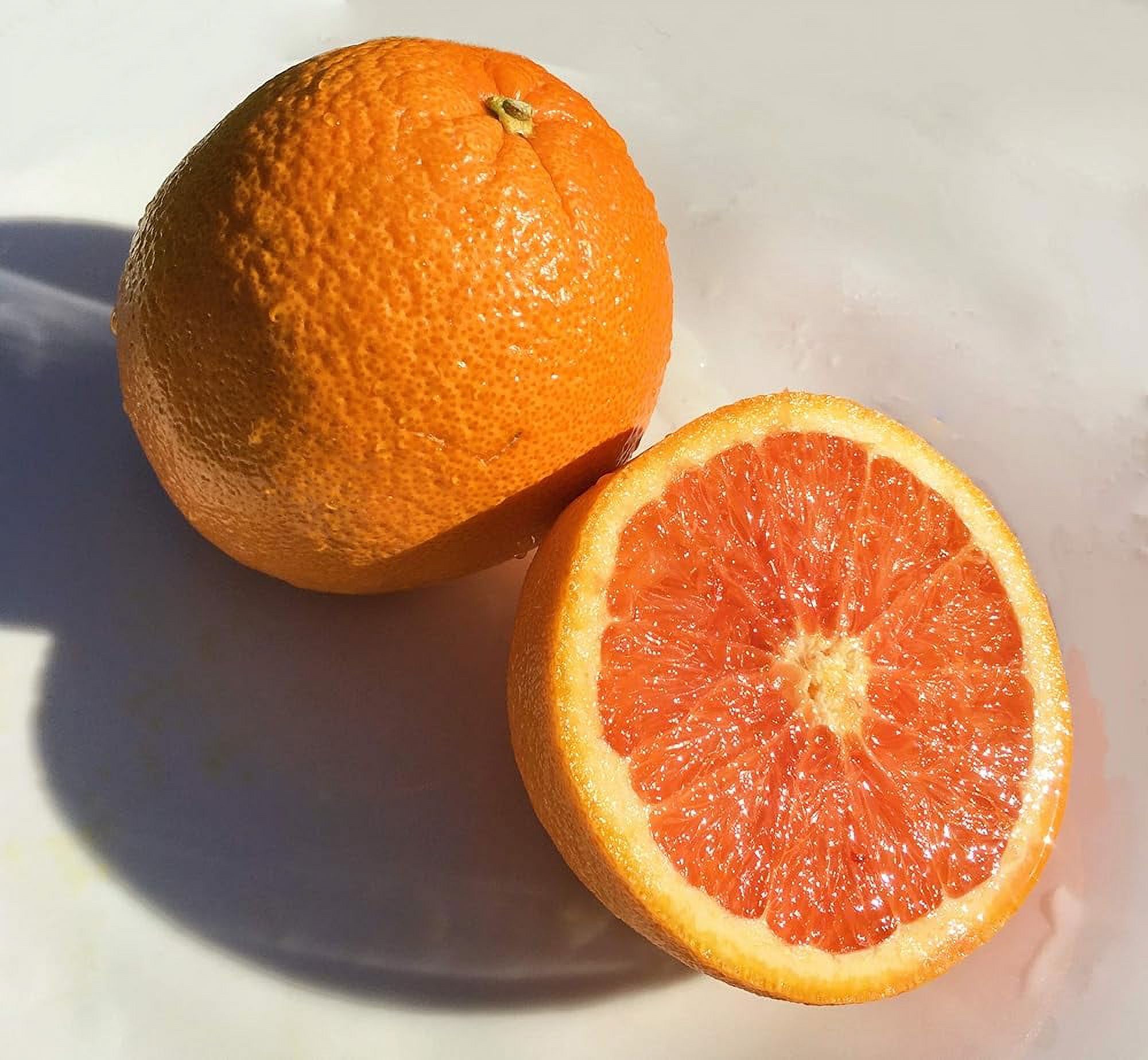 Oranges 5 Lb IN SEASON