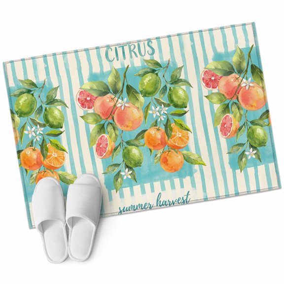 Oranges Grapefruits Bathroom Rug Washable 2x3 Entryway Rug Non Slip Summer Botanical Teal Striped Front Door Mat Low Pile Indoor Doormat Throw Floor Carpet for Kitchen Bedroom Entrance