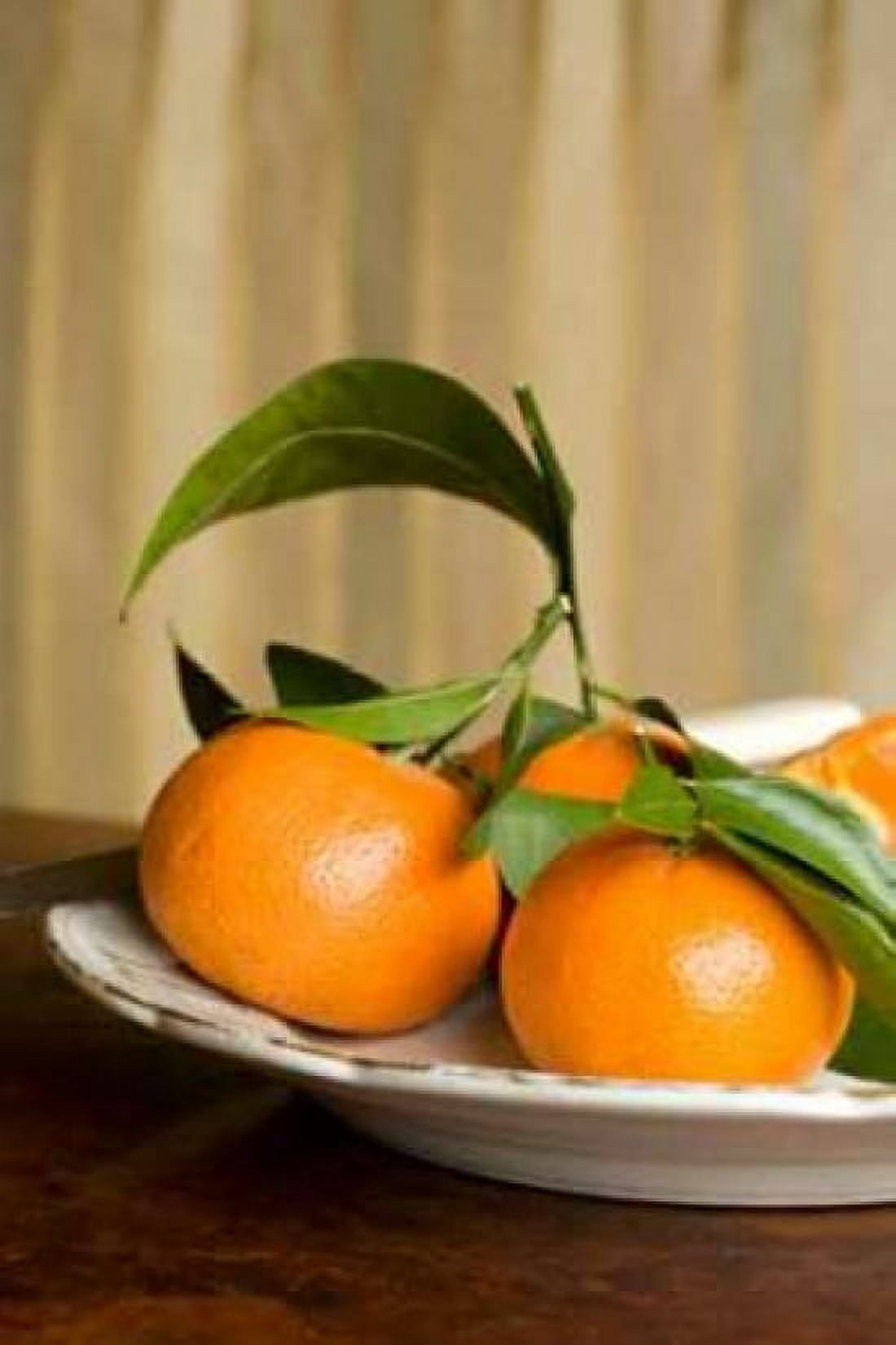 Oranges I Canvas Art - Karyn Millet (12 x 18)