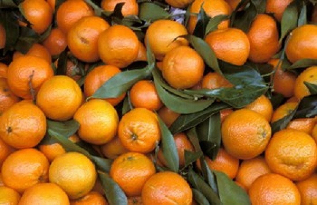 Oranges Nasch Market Austria Canvas Art - Marilyn Parver DanitaDelimont (27 x 18)