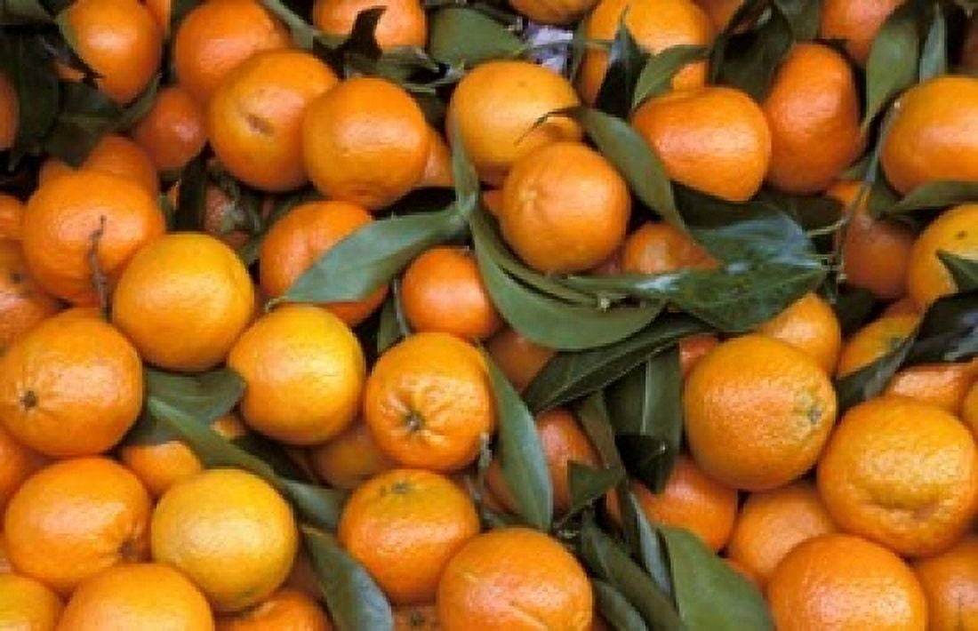 Oranges Nasch Market Austria Canvas Art - Marilyn Parver DanitaDelimont (36 x 24)