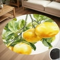 thumbnail image 1 of Oranges On Branch Round Carpet Living Room Bedroom Home Decoration Coffee Table Mat Lounge Rug Chair Mats, 1 of 5