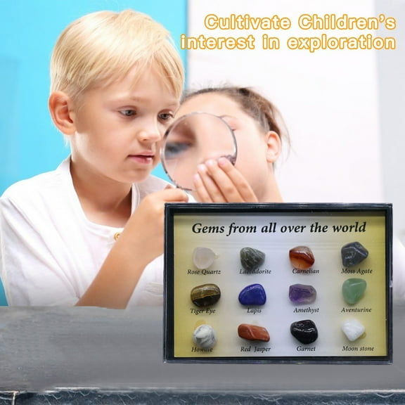 Orangide 12 Kinds Mixed Natural Crystal Specimens Early Education Collection Gift Box for Kids Geology Learning Rock Set with Velvet Pouch and ID Cards
