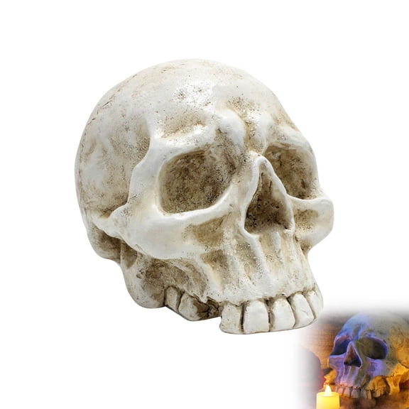 Orangide Halloween Skull Decoration - Realistic 8 Inch Life Size Skeleton Head Prop for Indoor & Outdoor, Human Head Model for Spooky House, Party, Gift