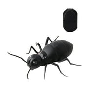Cockroach Toy