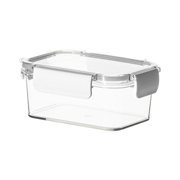 Orangide Small Airtight Storage Container with Flip Lid, Refrigerator Fruit Cheese Keeper, Ginger Garlic Spice Box for Kitchen for Meal Prep