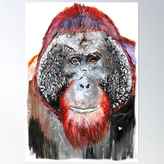 Orangutan Portrait Poster Wall Art, Modern Wall Decor For Living Room Bedroom, 16x24 UNFRAMED