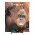 thumbnail image 1 of Pre-Owned Orangutans (Hardcover) 0937934836 9780937934838, 1 of 1