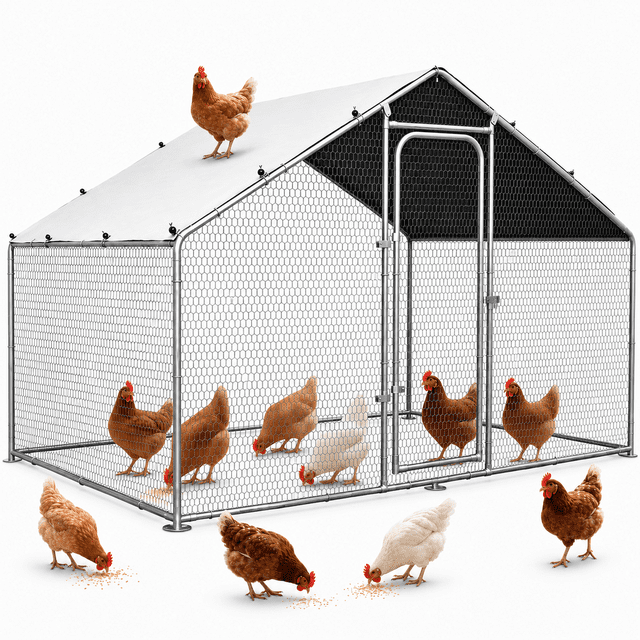 Oranland 5'x 10'x 6.5' Large Metal Walk-in Chicken Coop Run with ...