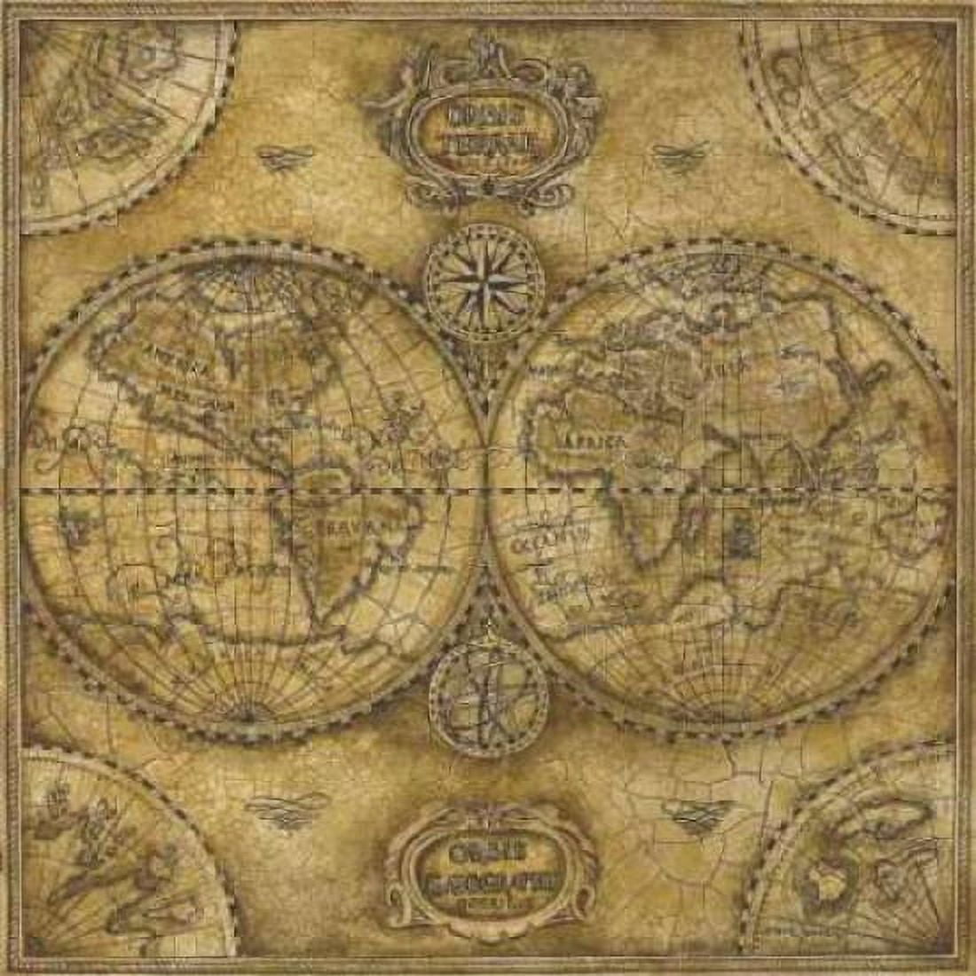 Orbis Torrae Canvas Art - Gregory Gorham (24 x 24)